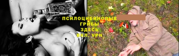 винт Арсеньев