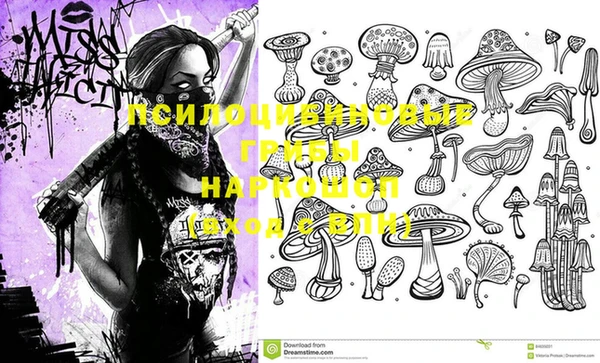 винт Арсеньев