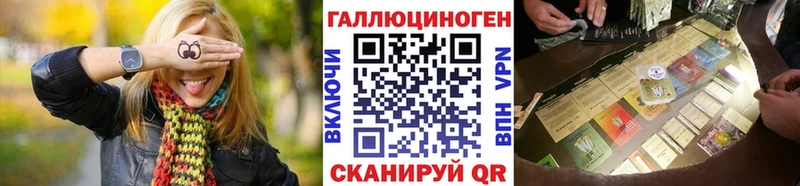 Галлюциногенные грибы Psilocybine cubensis  Питкяранта 