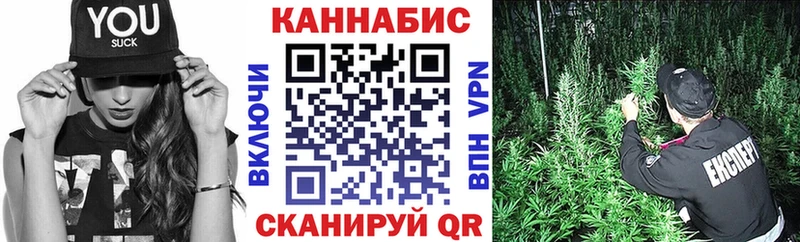 закладки  Питкяранта  Канабис ГИДРОПОН 